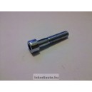	CSAVAR M5x20 INBUSZ 8.8 BKNY TM	