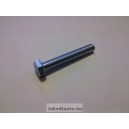 	CSAVAR M10x70 8.8 TM	